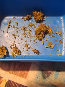 Opinión de cliente Minibud Premium Superskunk con foto - Spliff