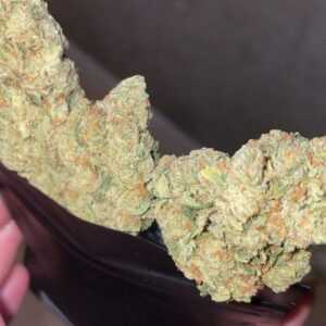 Opinión de cliente Amnesia con foto - Spliff