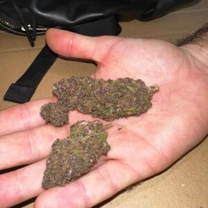 Opinión de cliente AK47 Purple con foto - Spliff