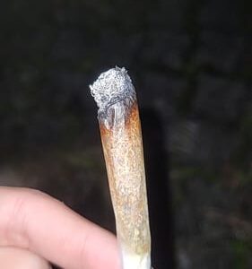 Opinión de cliente Purple Haze con foto - Spliff
