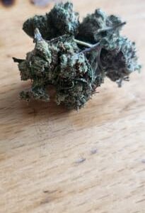 Opinión de cliente Minibud Premium Superskunk con foto - Spliff