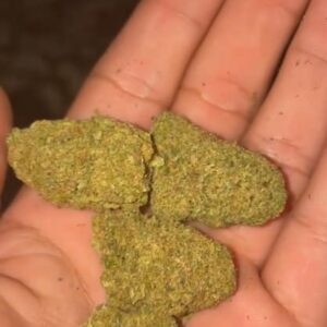 Opinión de cliente Gelato con foto - Spliff