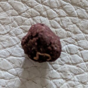 Opinión de cliente Libanais Rouge - 30% THCX con foto - Spliff