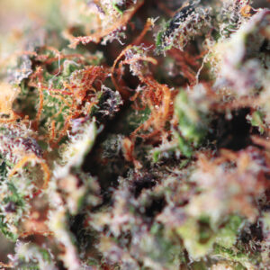 Dutch Grandma – flor de CBD de Spliff, foto 2