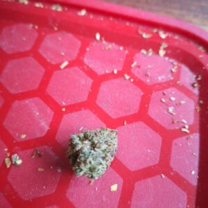 Opinión de cliente Gelato 33 - 25% THCX con foto - Spliff