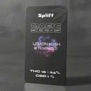 Lemon Kush – semillas de cannabis de Spliff, foto 2