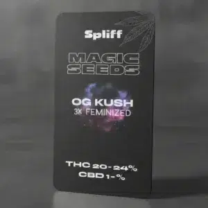OG Kush – semillas de cannabis de Spliff, foto 2