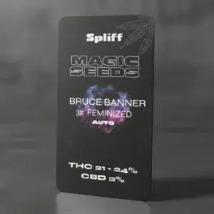 Bruce Banner Auto – semillas de cannabis de Spliff, foto 2