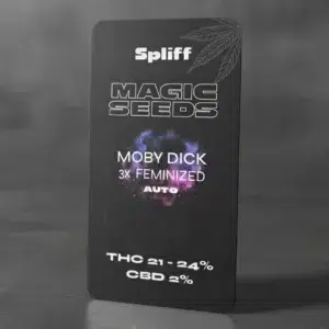 Moby Dick Auto – semillas de cannabis de Spliff, foto 2