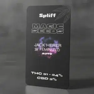 Jack Herer Auto – semillas de cannabis de Spliff, foto 2