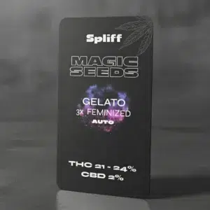 Gelato Auto – semillas de cannabis de Spliff, foto 2