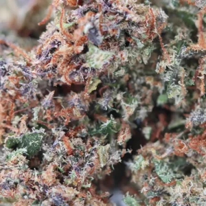 Jack Herer – flor de CBD de Spliff, primer plano