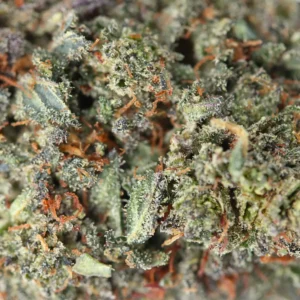 OG Kush – flor de THCX de Spliff, primer plano