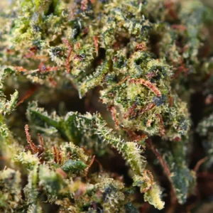 Sour Diesel – flor de THCX de Spliff, primer plano