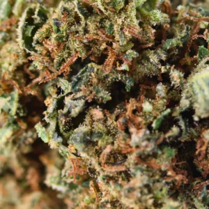 Sapphire – flor de THCX de Spliff, foto 2