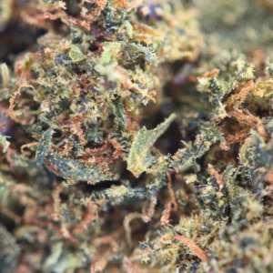 Macro Dream Berry