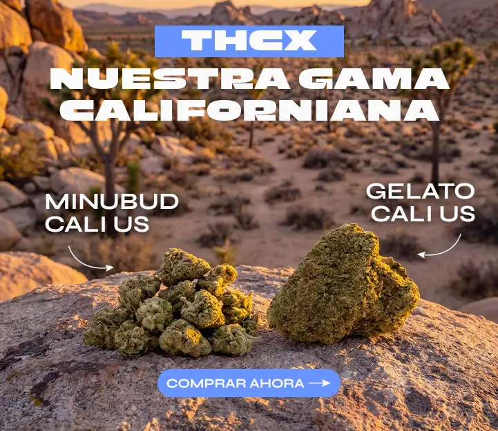 Cali THCX Spliff