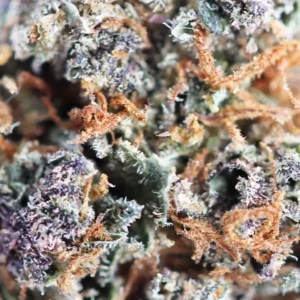 Mind Fucker – flor de THCX de Spliff, primer plano