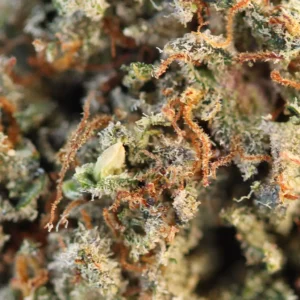 Big-buddha-60-THCX-SPLIFF