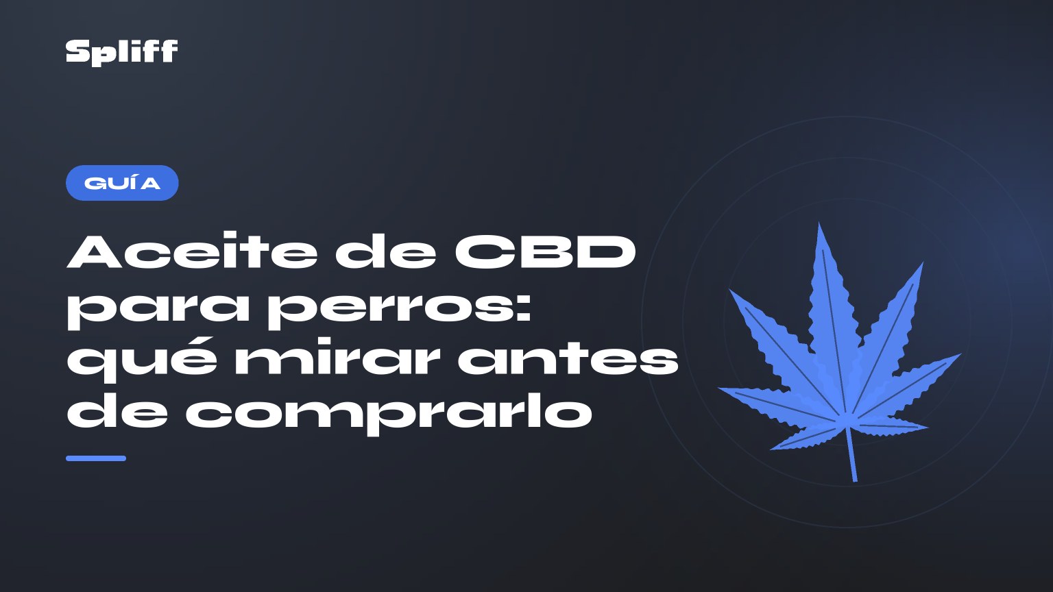 Aceite cbd perros: título sobre fondo oscuro, hoja de cáñamo estilizada
