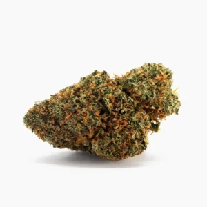 Blueberry Muffin