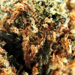 Blueberry Muffin CBD – macro de tricomas y pistilos cobrizos