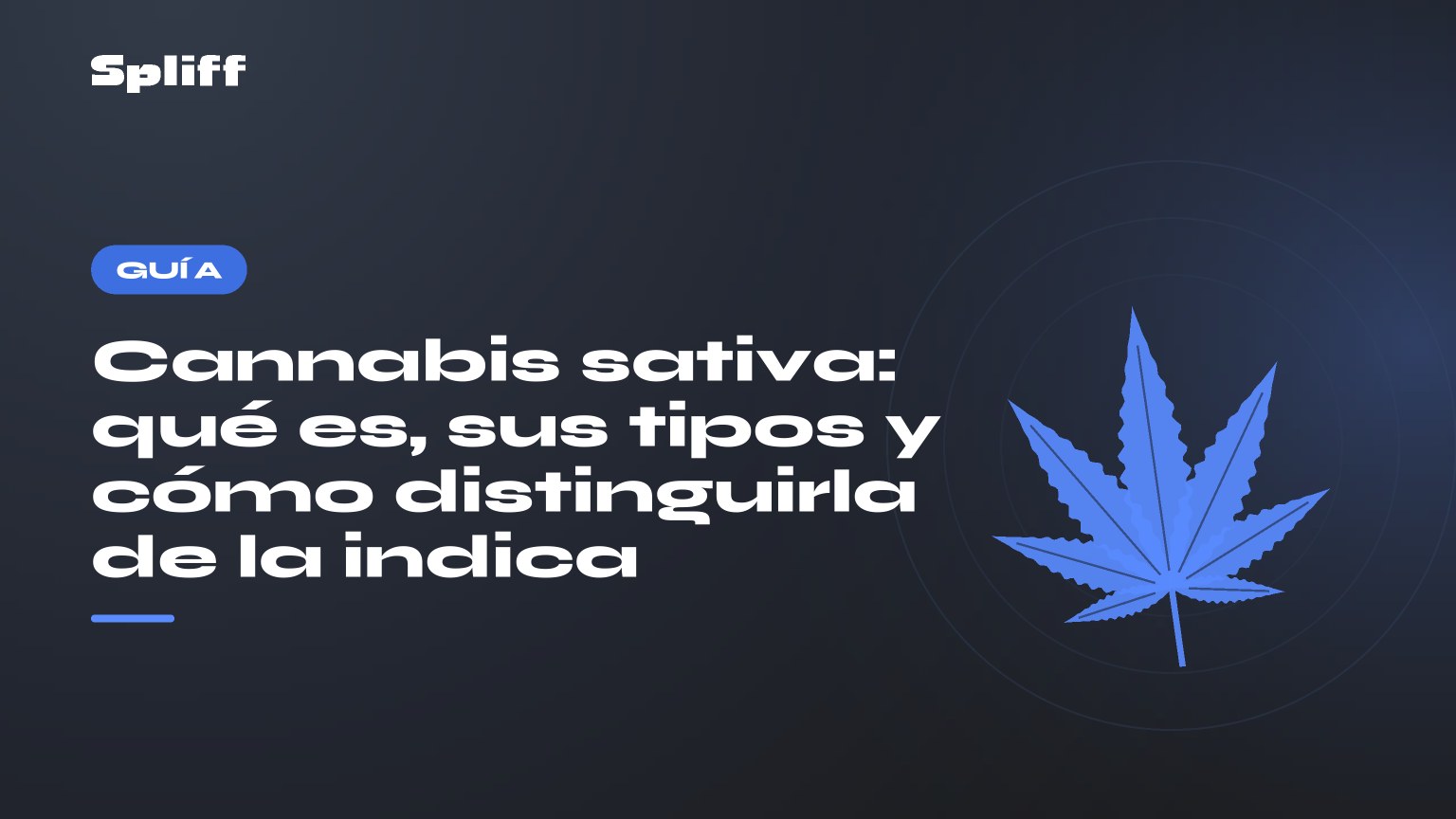 Cannabis sativa: qué es, sus tipos y cómo distinguirla de la indica — título sobre fondo oscuro, hoja de cáñamo estilizada