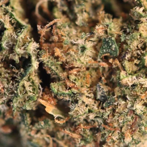 Cosmic Cookie CBD – macro de tricomas y pistilos