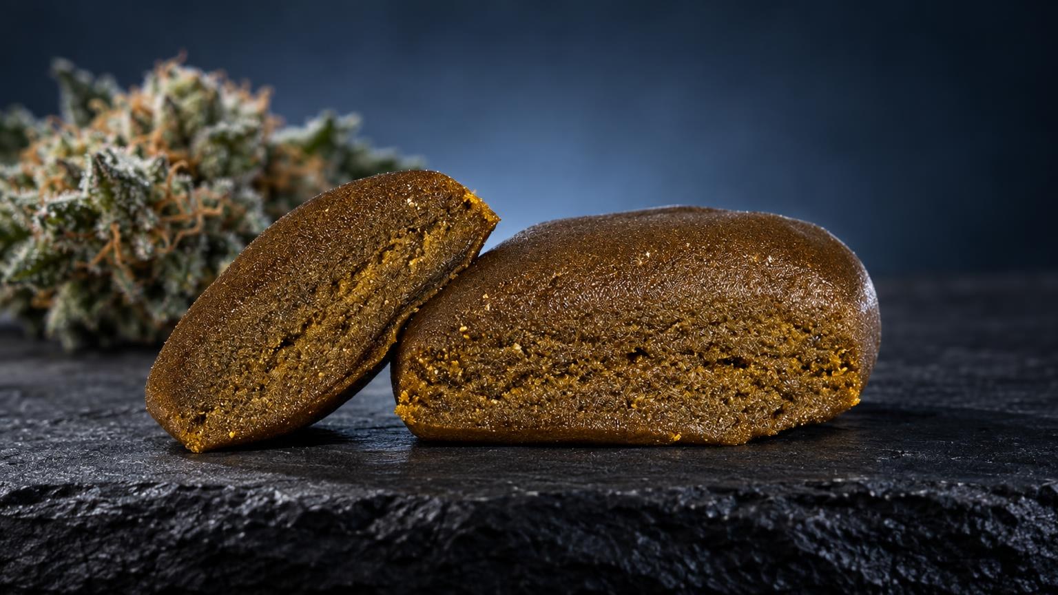 Dos trozos de Piatella hash con textura granulosa marrón dorado, junto a flores de cannabis sobre fondo oscuro