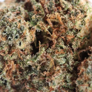 Plutonium CBD – macro de tricomas y pistilos
