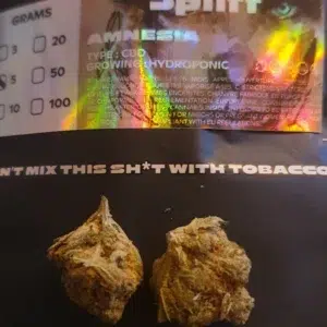 Opinión de cliente Amnesia con foto - Spliff