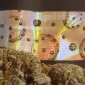 Opinión de cliente Cookie OG con foto - Spliff