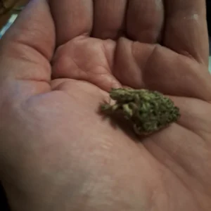 Opinión de cliente Critical con foto - Spliff