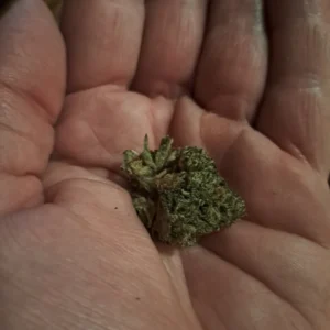 Opinión de cliente Dream Berry con foto - Spliff