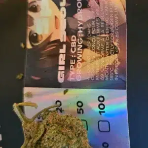 Opinión de cliente Girl Scout Cookies con foto - Spliff