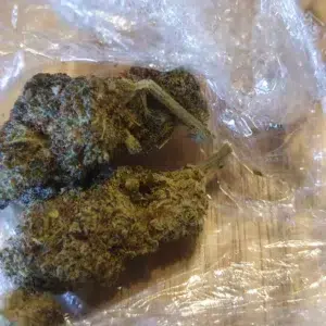 Opinión de cliente Gorilla Glue - 25% THCX con foto - Spliff