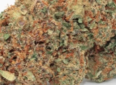 Opinión de cliente Jack Herer con foto - Spliff