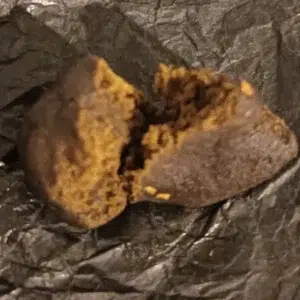 Opinión de cliente Kashmir Hash con foto - Spliff