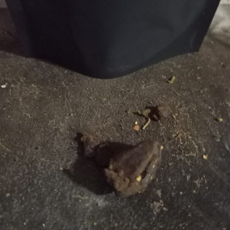 Opinión de cliente Kashmir Hash con foto - Spliff