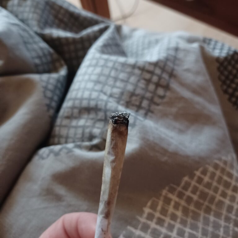 Opinión de cliente Lemon Kush Pop con foto - Spliff