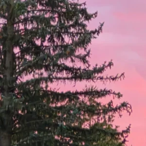 Opinión de cliente Mind Fucker con foto - Spliff