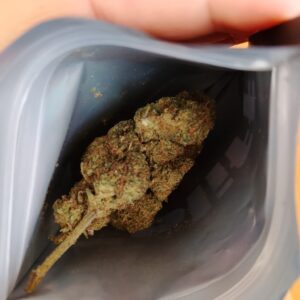 Opinión de cliente Mind Fucker con foto - Spliff