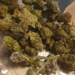 Opinión de cliente Minibud Cali USA con foto - Spliff