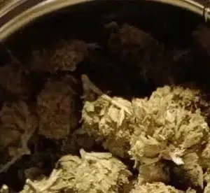Opinión de cliente Minibud Premium Superskunk con foto - Spliff