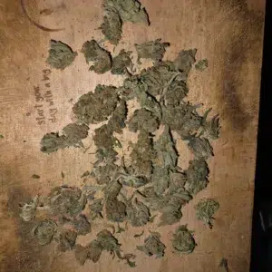 Opinión de cliente Minibud Premium - 30% THCX con foto - Spliff