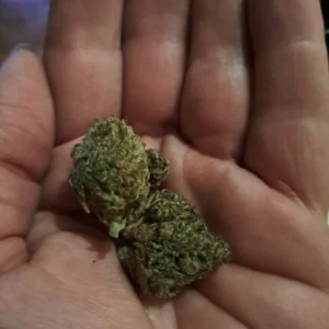 Opinión de cliente Orange Bud con foto - Spliff