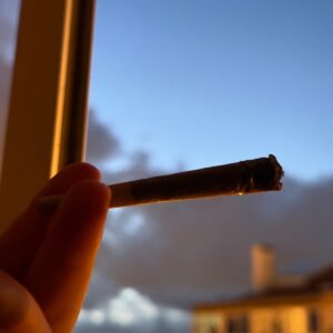 Opinión de cliente Porro de THCX pre-enrollado - Zkittlez con foto - Spliff