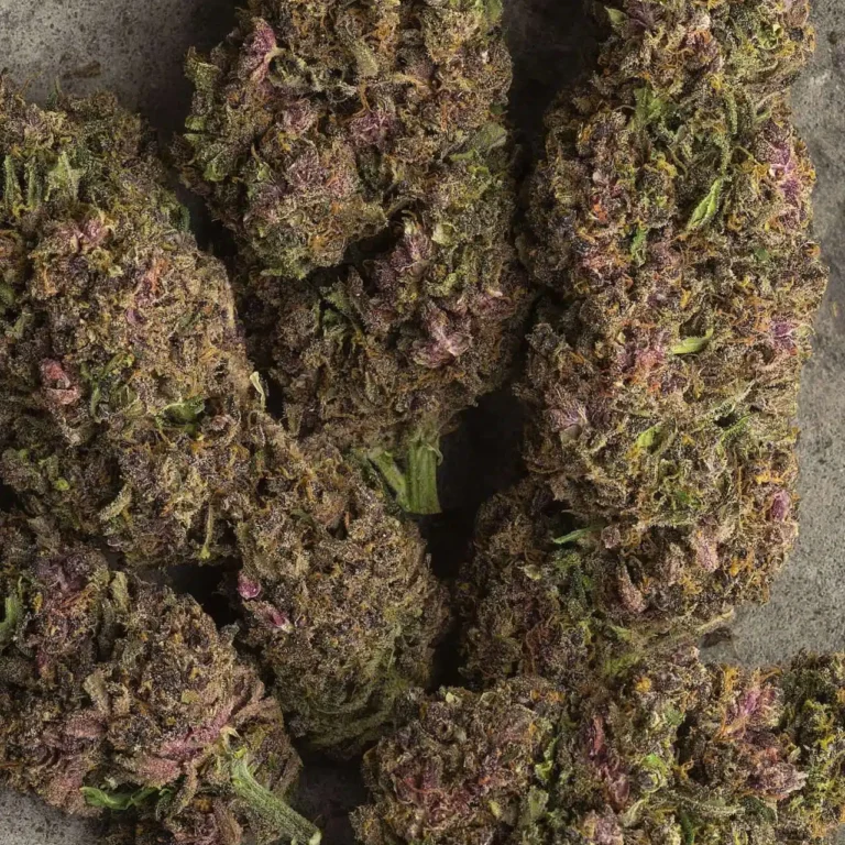 Click to view full screen Opinión de cliente Purple Haze con foto - Spliff