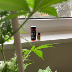 Opinión de cliente Jarabe de THC - Magic Potion - 300 Mg con foto - Spliff